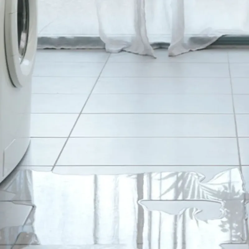 Appliance Leak Cleanup in Alum Rock, CA